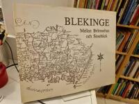 Blekinge : mellan Br&ouml;msehus och Sisseb&auml;ck : en kulturhistorisk kr&ouml;nika f&ouml;r envar