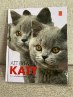 Att bli med katt