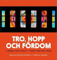 Tro, hopp och f&ouml;rdom - religion som resurs i m&ouml;tet med den andra