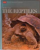 The Reptiles