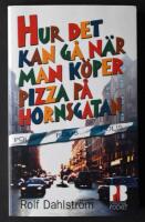 Hur det kan g&aring; n&auml;r man k&ouml;per pizza p&aring; Hornsgatan : roman