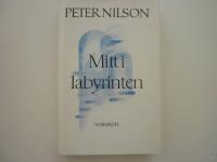 Mitt i labyrinten : ess&auml;er och fantasier