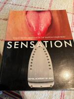 Sensation - young British artists from the Saatchi Collection