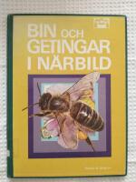 Bin och getingar i n&auml;rbild