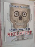 Stora boken om skelettet : l&auml;r k&auml;nna benen inne i din kropp