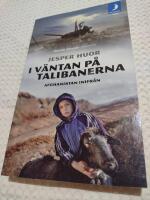 I v&auml;ntan p&aring; talibanerna : Afghanistan inifr&aring;n