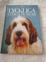 Lyckliga lydiga hundar