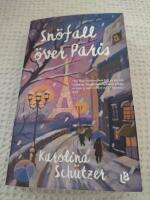 Sn&ouml;fall &ouml;ver Paris