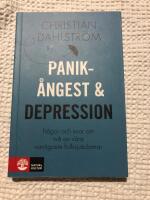 Panik&aring;ngest och depression : fr&aring;gor och svar om tv&aring; av v&aring;ra vanligaste folksjukdomar