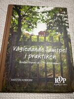 V&auml;gledande samspel i praktiken : genomf&ouml;rande av ICDP-programmet