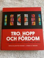 Tro, hopp och f&ouml;rdom - religion som resurs i m&ouml;tet med den andra
