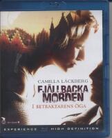 Fjällbackamorden del 6: I betraktarens öga