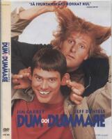 Dum & dummare