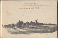 Sk&aring;nska bilder