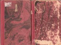 Silvertornet & F&aring;gel Bl&aring;