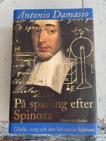 P&aring; spaning efter Spinoza : Gl&auml;dje, sorg och den k&auml;nnande hj&auml;rnan