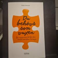 Du beh&ouml;vs som vuxen : en inspirerande bok f&ouml;r dina samtal med barn och unga