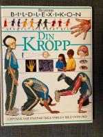Din kropp : uppt&auml;ck v&aring;r fantastiska v&auml;rld i bild och ord