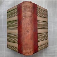 Samlade skrifter V-VI : Nytt och gammalt : Gralst&auml;nk : &Ouml;vers&auml;ttningar : R&auml;ggler och paschaser