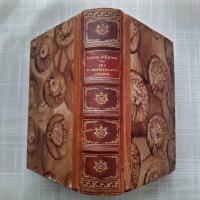 Fru de Montbrillants ungdom : Interi&ouml;rer fr&aring;n fransk aristokrati och storfinans 1726-1746