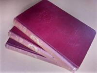 Samh&auml;llets olycksbarn (Les Mis&eacute;rables) : Historisk-romantisk skildring fr&aring;n 1830-talet