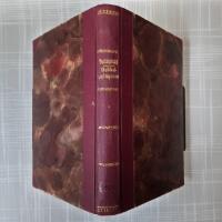 Dubbelg&aring;ngaren