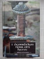 I &ouml;gonblicken norr om havet