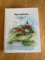 Hj&auml;rtumsboken : minnen, m&auml;nniskor och milj&ouml; kring millennieskiftet