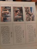 Bibliska ber&auml;ttelser Gamla testamentet. Med 50 kolorerade bilder efter original av Robert Leinweber