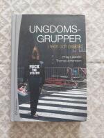 Ungdomsgrupper i teori och praktik