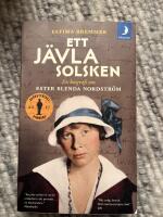 Ett j&auml;vla solsken : en biografi om Ester Blenda Nordstr&ouml;m