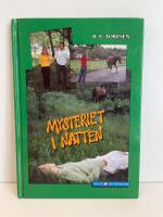 Mysteriet i natten