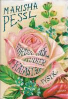 F&ouml;rdjupade studier i katastroffysik