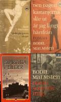 Underg&aring;ngarens s&aring;nger : Den dagen kastanjerna sl&aring;r ut.. : Svartvita bilder : N&auml;sta som r&ouml;r mig