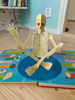 Den fantastiska kroppen