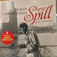 Spill : en damroman