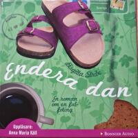 Endera dan : en roman om en fulfoting