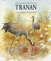 Den hemlighetsfulla tranan
