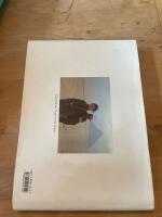 Pingvinernas l&auml;ngtan Sally - Joe inb. med poster