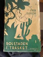 Solstaden i tr&auml;sket