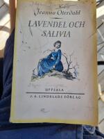 Lavendel och Salvia