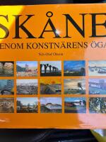 Sk&aring;ne genom konstn&auml;rens &ouml;ga