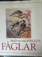 Br&ouml;derna von WRIGHTS f&aring;glar