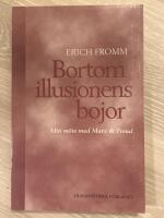 Bortom illusionens bojor - mitt m&ouml;te med Marx och Freud