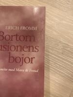 Bortom illusionens bojor - mitt m&ouml;te med Marx och Freud