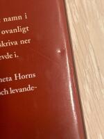 Agneta Horn : Ett liv i trettio&aring;riga krigets skugga