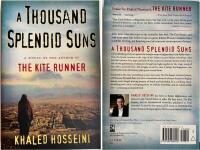 A thousand splendid suns