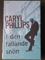 I den fallande sn&ouml;n