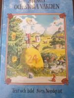 Minus och stora v&auml;rlden