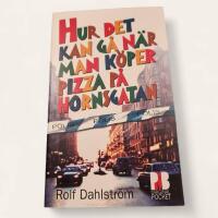 Hur det kan g&aring; n&auml;r man k&ouml;per pizza p&aring; Hornsgatan : roman